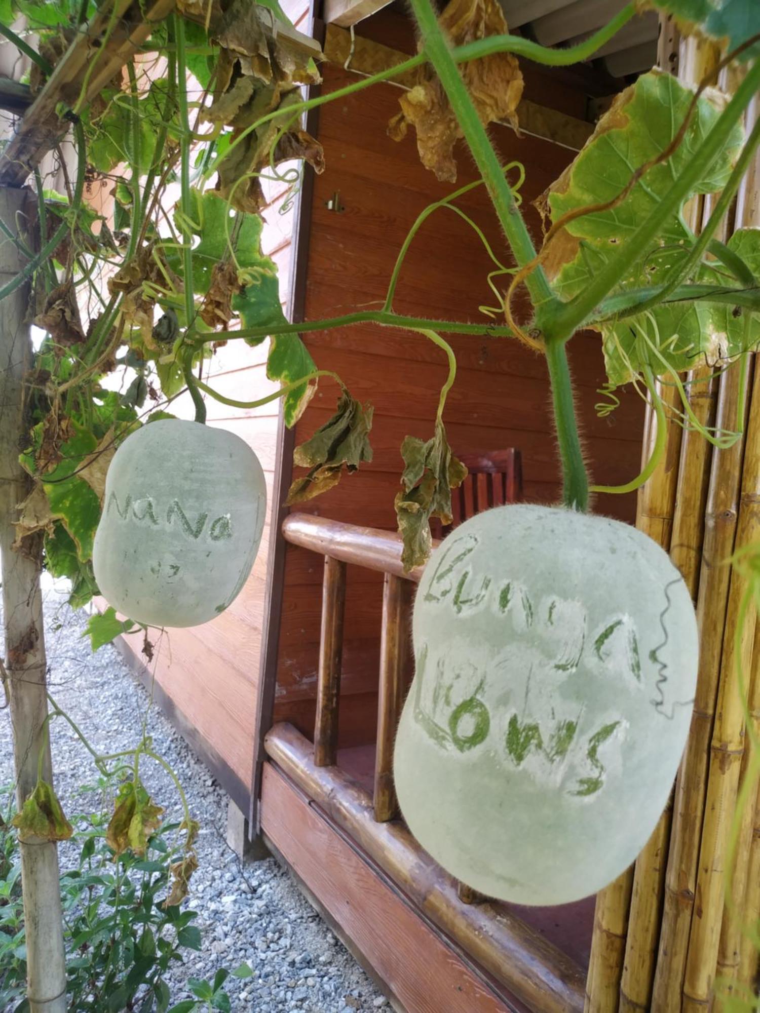 Nana Bungalows Ban Tan Стая снимка